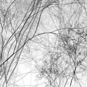 Meet your Posher, Ora